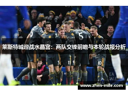 莱斯特城迎战水晶宫:两队交锋前瞻与本轮战报分析