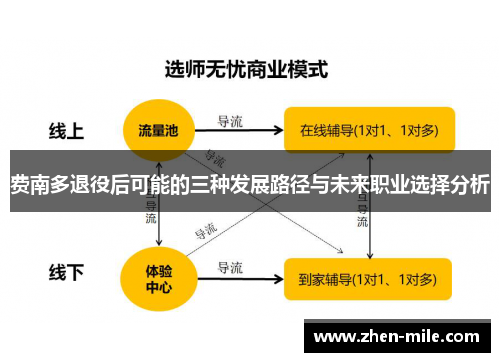 费南多退役后可能的三种发展路径与未来职业选择分析 费南多退役后可能的三种发展路径与未来职业选择分析