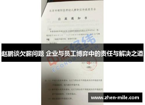赵鹏谈欠薪问题 企业与员工博弈中的责任与解决之道