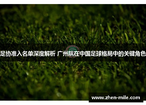 足协准入名单深度解析 广州队在中国足球格局中的关键角色 足协准入名单深度解析 广州队在中国足球格局中的关键角色