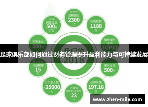 足球俱乐部如何通过财务管理提升盈利能力与可持续发展 足球俱乐部如何通过财务管理提升盈利能力与可持续发展