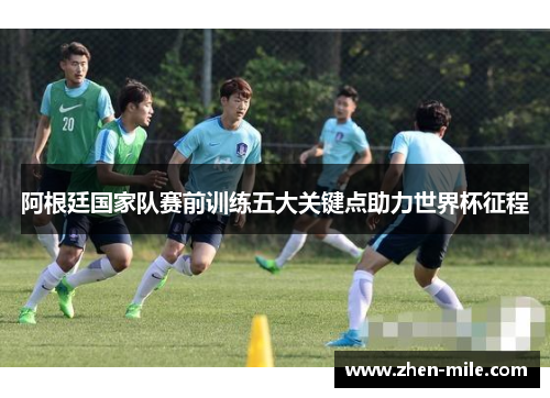 阿根廷国家队赛前训练五大关键点助力世界杯征程