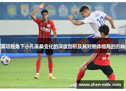 莫塔视角下小孔塞桑变化的深度剖析及其对整体格局的影响