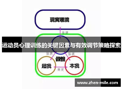 运动员心理训练的关键因素与有效调节策略探索