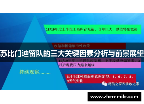 苏比门迪留队的三大关键因素分析与前景展望 苏比门迪留队的三大关键因素分析与前景展望