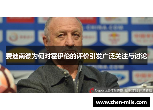 费迪南德为何对霍伊伦的评价引发广泛关注与讨论