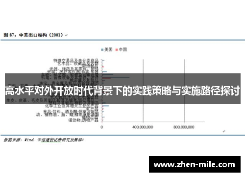 高水平对外开放时代背景下的实践策略与实施路径探讨